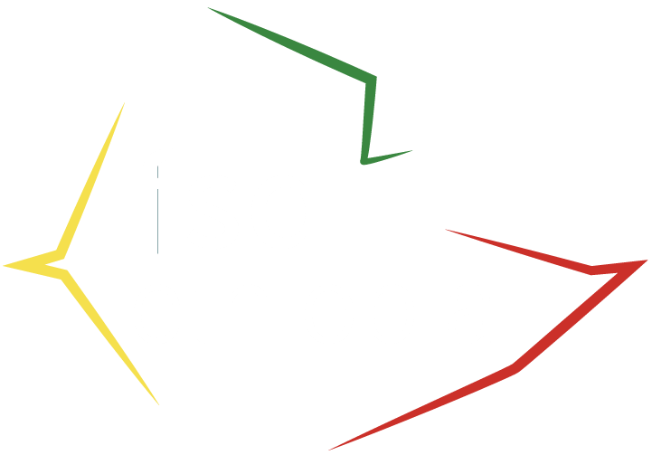 fsdethiopia